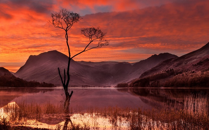 Lake and mountains at sunset with a lone tree