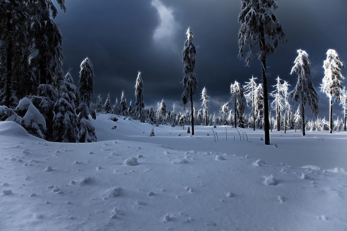 Snowy winter forest landscape under a dark sky