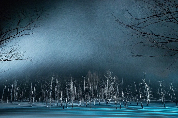 Winter snow falling on trees in a blue pond in Japan