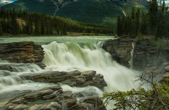 athabasca falls, Jasper National Park, river, Canada, nature, athabasca river, water