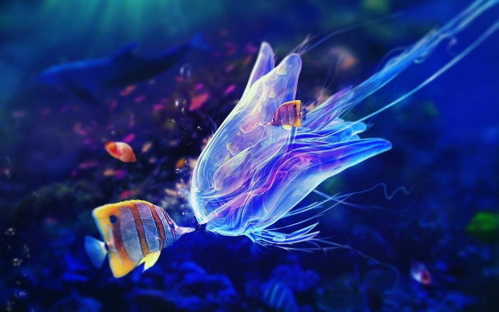 Colorful jellyfish and fish underwater