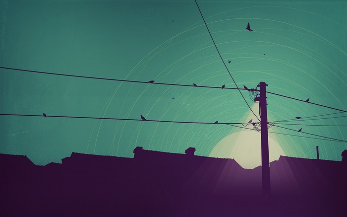 Birds on wires over rooftops at sunset