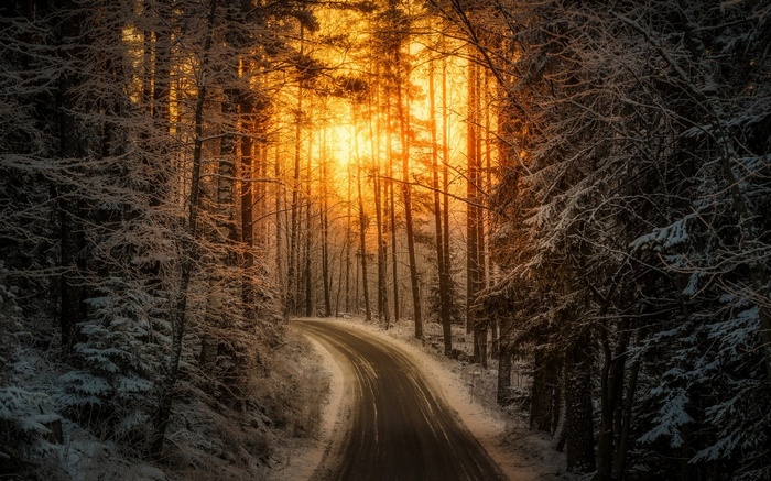 Winter forest road with sunlight in Finland