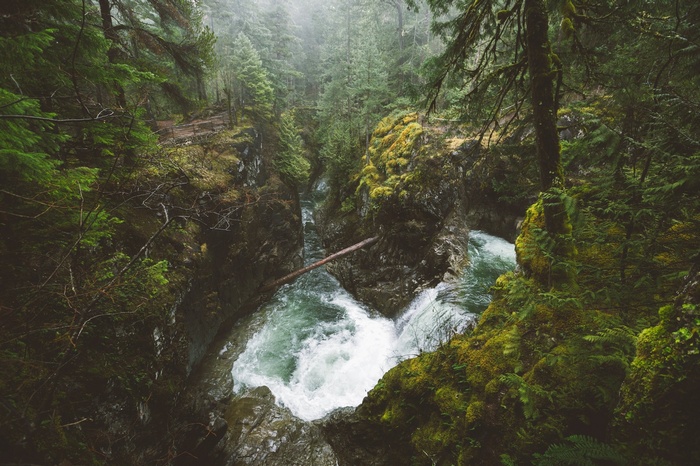 Mossy Forest Canyon with Rushing River on Vancouver Island