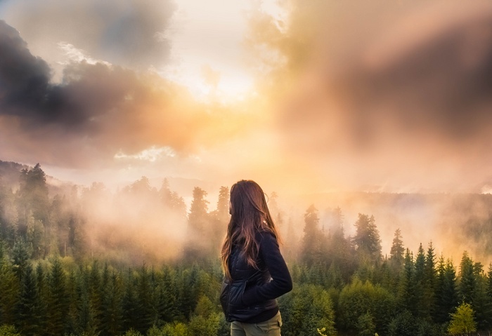 Woman looking at a misty forest at sunset