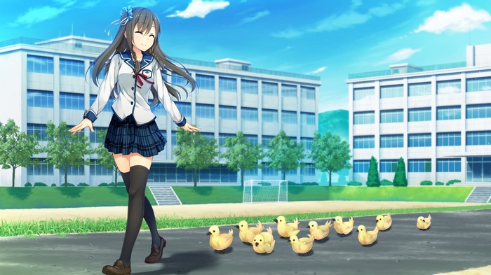 duck, thigh-highs, anime girls, Sorairo Innocent, school uniform ...