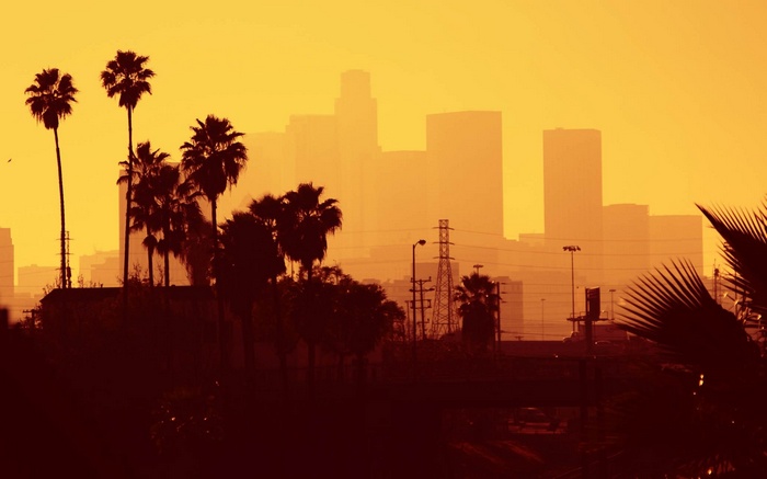 Los Angeles skyline with palm trees at sunset