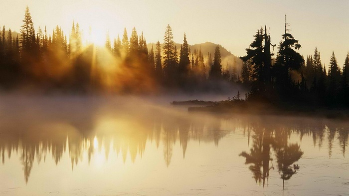 Misty lake with sunbeams through pine trees