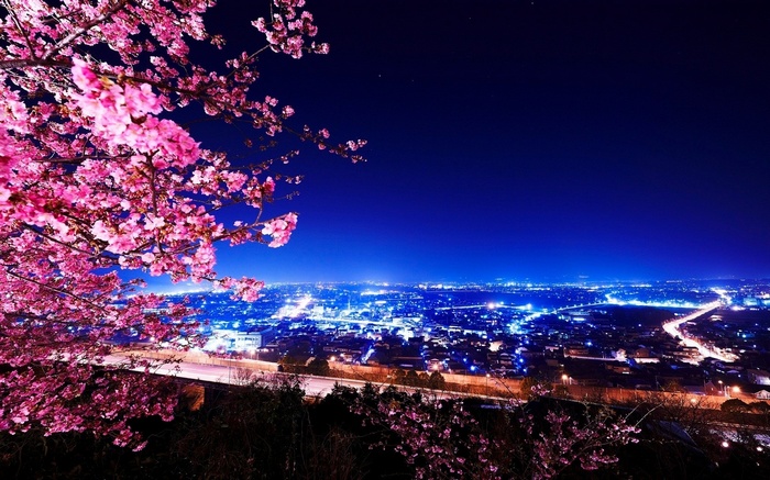 Night cityscape with cherry blossoms