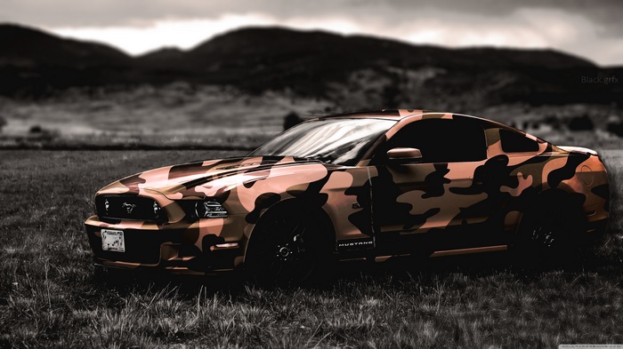 Ford Mustang with camouflage wrap in a field