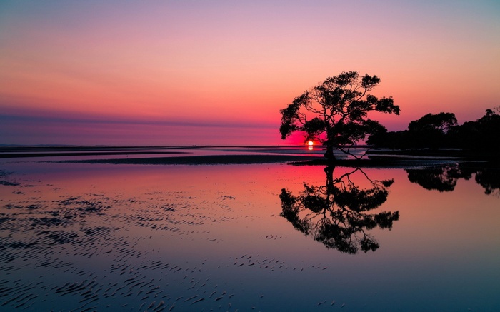 Sunset reflection on water with a lone tree