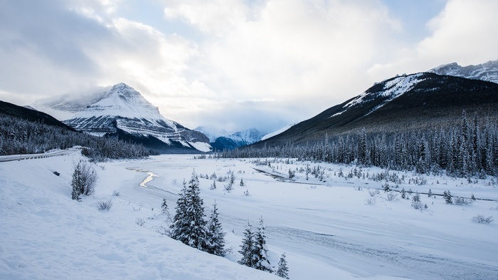 Snowy mountains and pine trees landscape