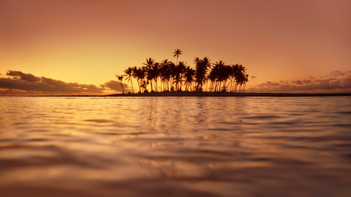 Island with palm trees at sunset over the sea