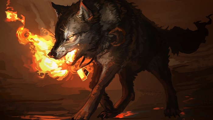 wolf, fire