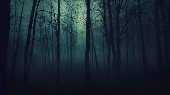 Misty forest with cyan and blue hues