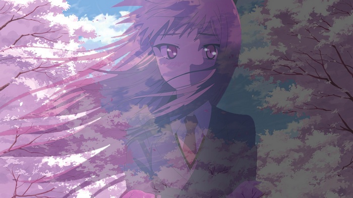 Shiina Mashiro in the wind with cherry blossoms