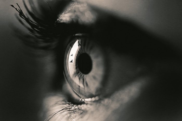Close-up of a human eye with birds reflected