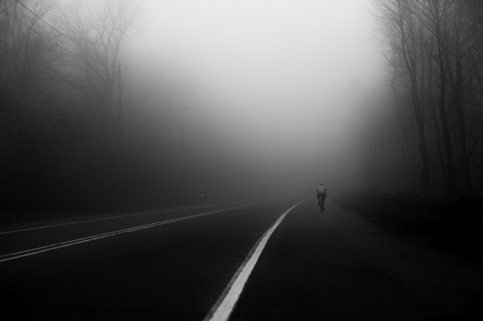 Cyclist on a foggy road with trees