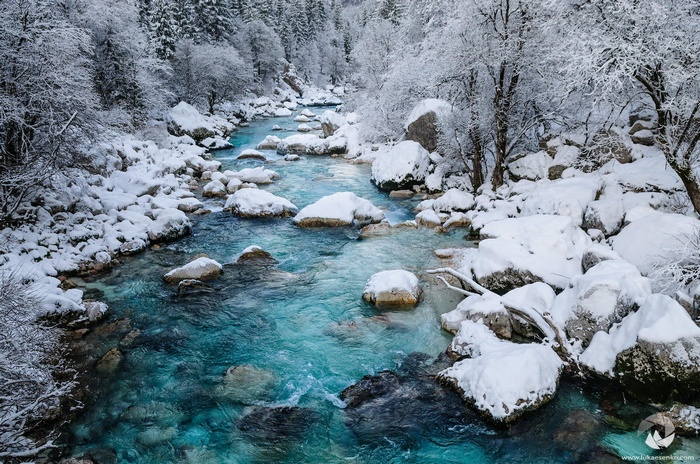 Turquoise river flowing through a snowy forest