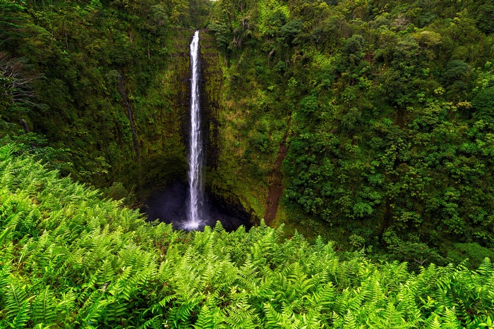Akaka Falls State Park waterfall in Hawaii