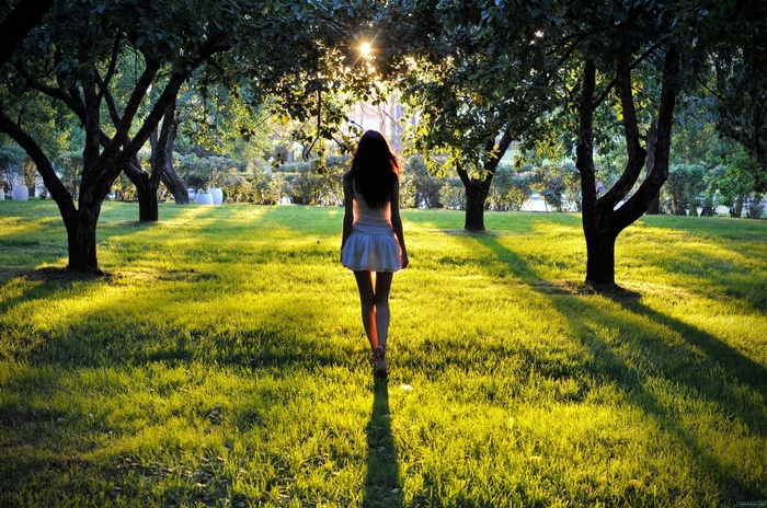 Woman walking in a sunlit park with trees
