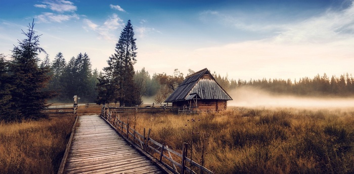 Wooden cabin and walkway in a misty forest landscape