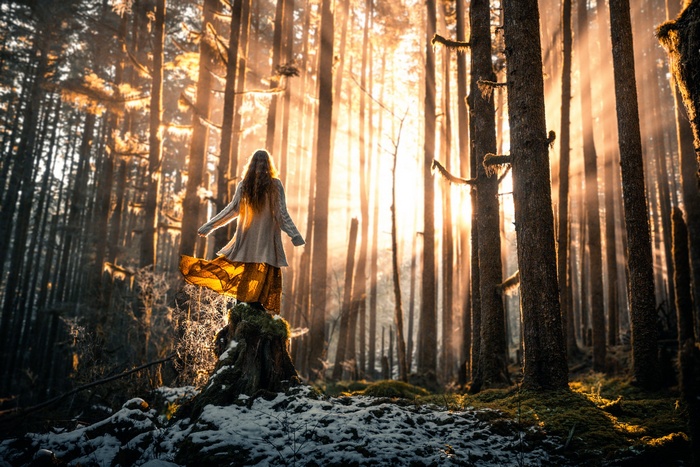 Woman standing on a tree stump in a sunlit forest