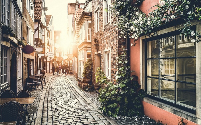 Cobblestone street with buildings and sunlight