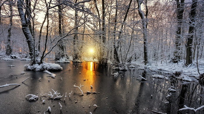 Winter forest with frozen pond and sunlight in Sweden