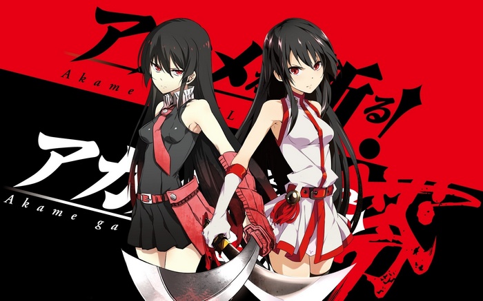 Akame and Akame from Akame ga Kill!