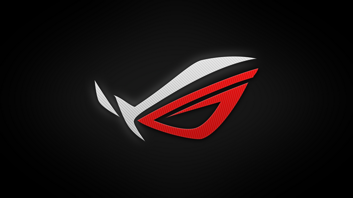 Republic of Gamers logo on black background