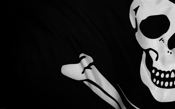 Pirate flag with skull and crossbones