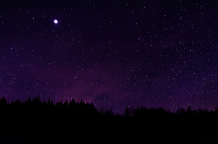 Silhouette of trees against a starry night sky