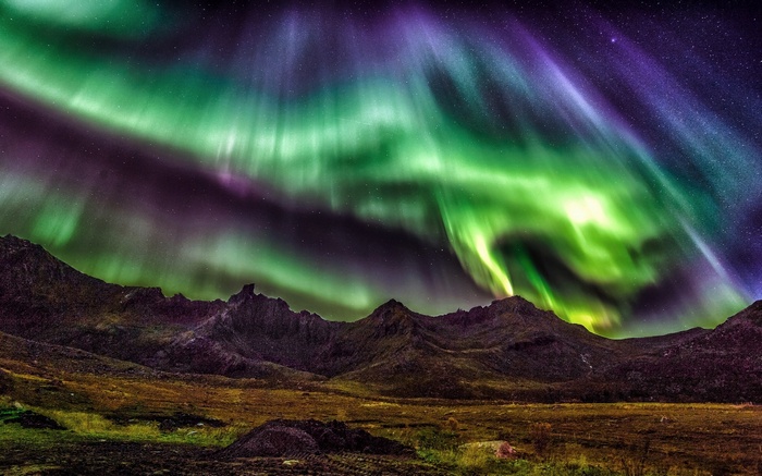 aurorae, nature, starry night, mountains, Norway, lights, sky, landscape