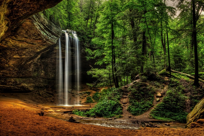 Waterfall in a lush green forest