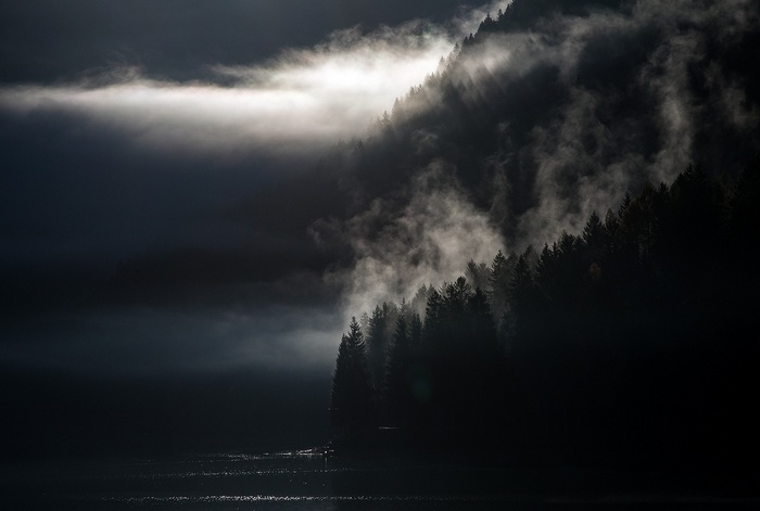 Misty forest on a lake at dawn