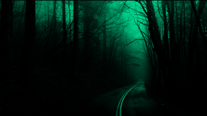 Dark spooky forest road with trees
