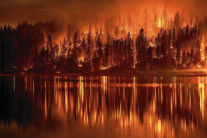Forest fire reflected in a lake at night