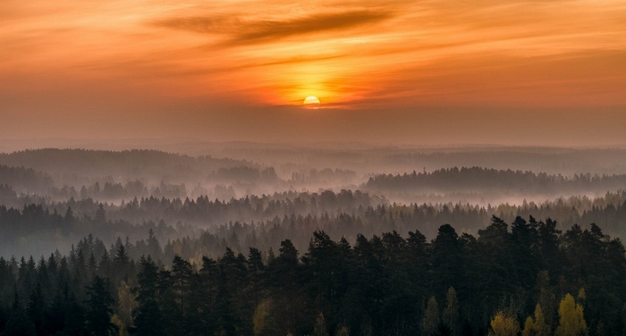 Sunrise over misty forest hills