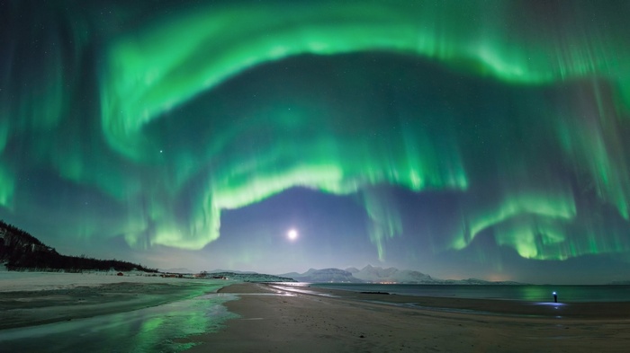 Aurora Borealis over a beach with a person