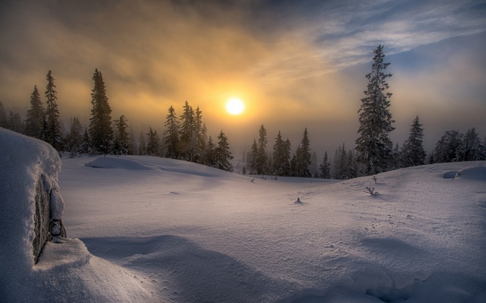 Winter sunrise over a snowy forest in Norway