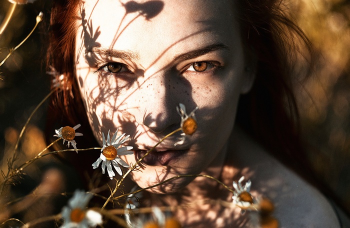 Woman with freckles and daisies in sunlight