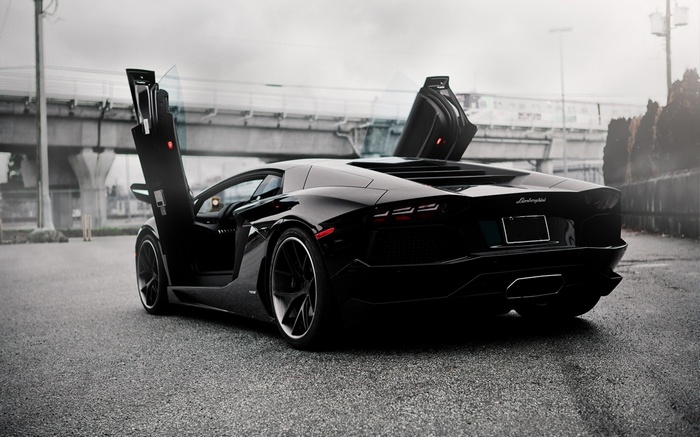 Black Lamborghini Aventador with Scissor Doors