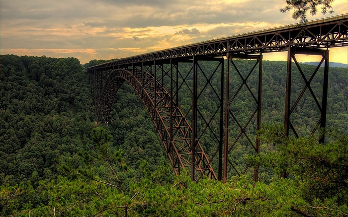 landscape, forest, bridge