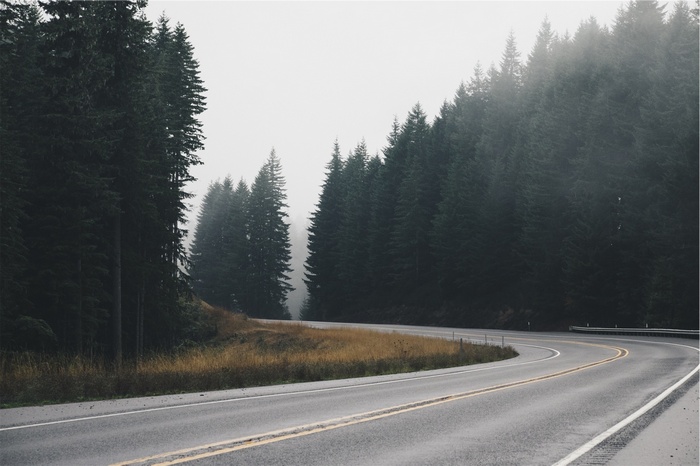 A winding road through a foggy forest