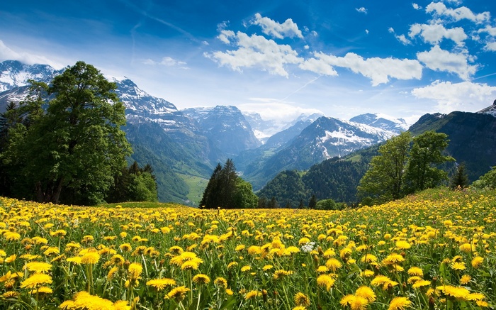 yellow, sky, nature, mountains