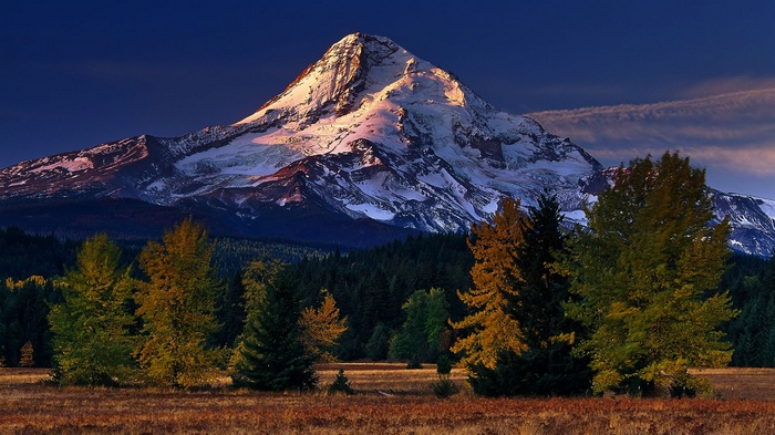 Snow-capped mountain range with autumn trees in the foreground