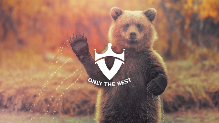 Bear waving with a logo and text