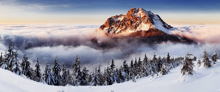 Snowy mountain peak above clouds with pine trees