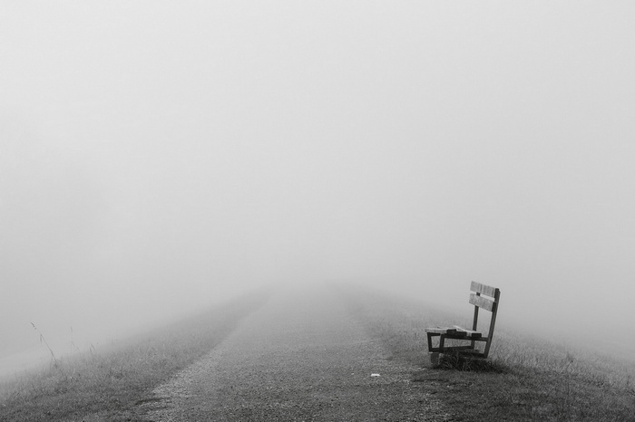 A solitary bench on a foggy path